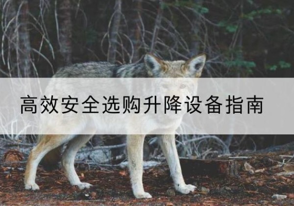 紫金升降货梯厂家推荐-*安全选购升降设备指南