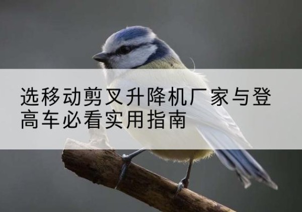 紫金电动升降机厂家-选移动剪叉升降机厂家与登高车必看实用指南